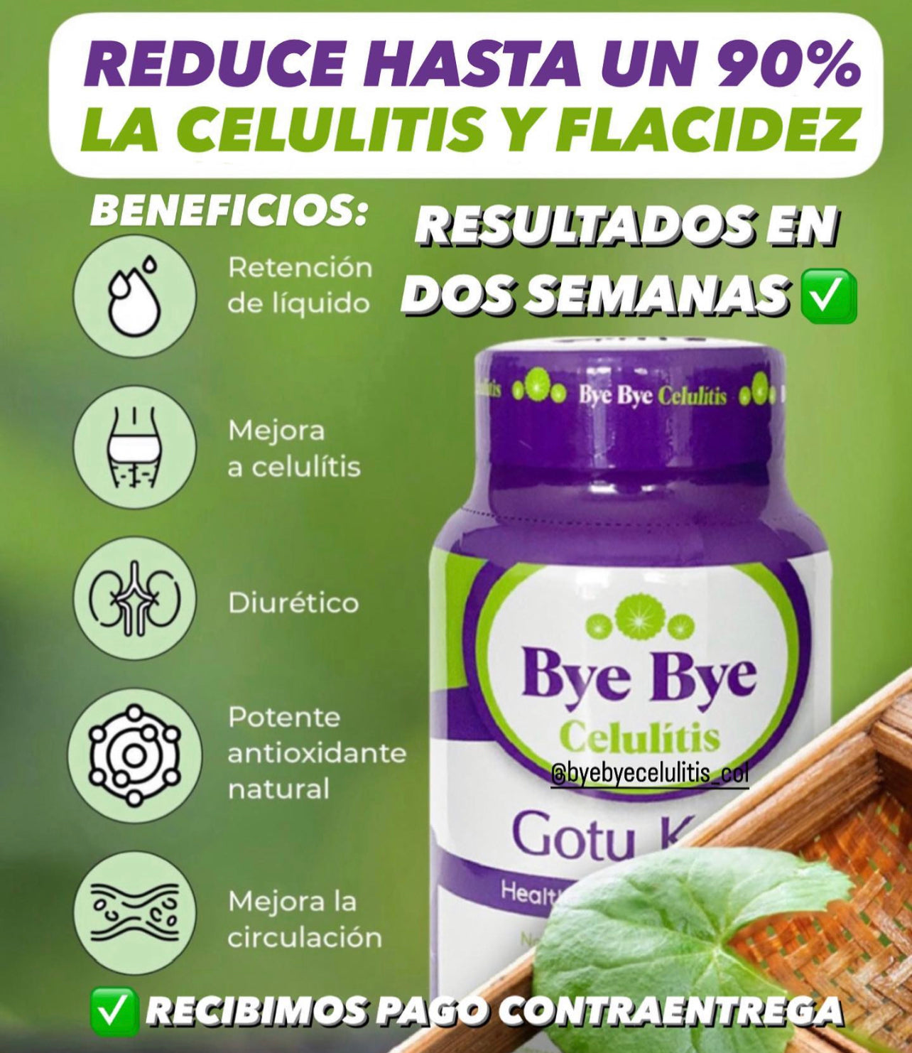 Bye Bye Celulitis Essential